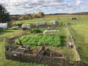 een boerderij met een bos planten in een veld bij Hirtenwohnung im Arbeiterhaus in Braunsberg
