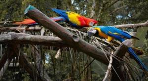 Zvířata v hotelu nebo okolí + 22 fotografií