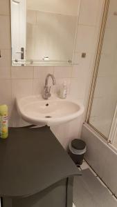 een badkamer met een wastafel en een douche bij Süder11 - ApartB in Eddelak