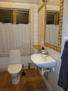 ein Badezimmer mit Toilette und Waschbecken in der Unterkunft Lapland Nature and Health in Junosuando + 270 Fotos