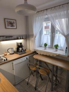 Η κουζίνα ή μικρή κουζίνα στο Przytulne mieszkanie Szopena