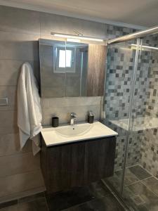 une salle de bain avec lavabo et douche dans l'établissement Mpalaskas luxury apartments, à Vonitza