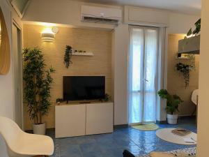 Et tv og/eller underholdning på Fetta di Limone Apartment with AC and Patio