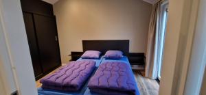 2 Betten in einem Zimmer mit lila Kissen in der Unterkunft Vakantiepark Bronckhorst in Hengelo