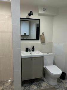 Un baño con inodoro, lavabo y espejo. en Apartamenti Bulvāris, en Alūksne