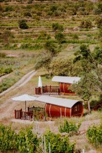 Naturlandskabet i nærheden af kapselhotellet + 2 billeder
