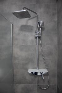 a shower with a shower head in a bathroom at Luxury Apartment Brendi in Log pri Brezovici