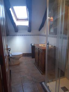 a bathroom with a shower and a toilet and a sink at R2R - Ático con encanto Colindres - C08B01 in Colindres +7 photos