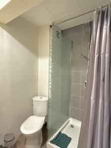 une salle de bain avec toilettes et douche dans l'établissement Le Borie climatisé, à Arles 5 autres photos