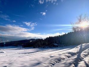 Příroda nedaleko apartmánu