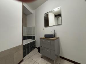 un bagno con lavandino e specchio di Résidence Cloche verte a Bourges