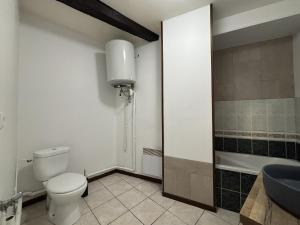 un bagno con wc, lavandino e doccia di Résidence Cloche verte a Bourges