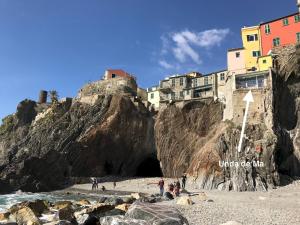 Naturlandskabet i nærheden af lejligheden