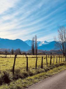 Naturlandskabet i nærheden af lejligheden