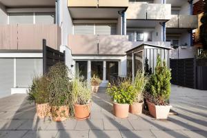 Gallery image of Domus Lux 53 in Bad Säckingen