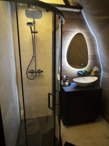 a bathroom with a sink and a mirror at Princess Milena in London