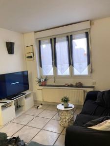 un salon avec un canapé et une télévision dans l'établissement Maison ou chambres a louez, à Armentières