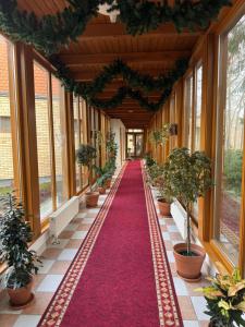 een hal met een rode loper en potplanten bij Thermal Hotel Tengelic 