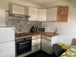 eine kleine Küche mit weißen Schränken und einer Mikrowelle in der Unterkunft GMA Apartment H26 in Mahlberg