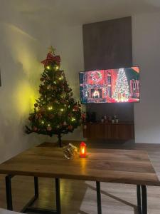 Televiisor ja/või meelelahutuskeskus majutusasutuses NovAS Apartment