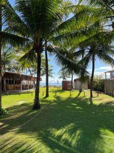 a group of palm trees in a grass field at Pousada Quintal Caraíva in Caraíva