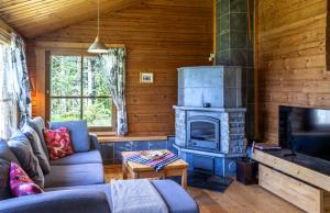 een woonkamer met een bank en een open haard bij Mökki Syrjälä in Puumala