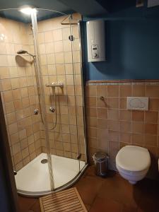 une salle de bain avec douche et toilettes dans l'établissement Haus Bei Der Kirche, à Oland 12 autres photos