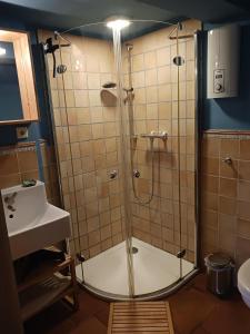 une salle de bain avec douche et lavabo dans l'établissement Haus Bei Der Kirche, à Oland