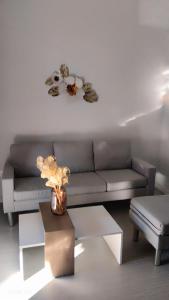 Φωτογραφία από το άλμπουμ του Μateo suite στη Λιβαδειά