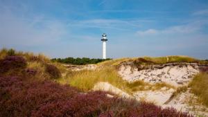 ein Leuchtturm auf einer Sanddüne mit Blumen in der Unterkunft Villavilla #621 - Dueodde, Bornholm in Vester Sømarken + 14 Fotos