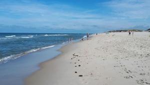 Naturlandskabet i nærheden af feriehuset