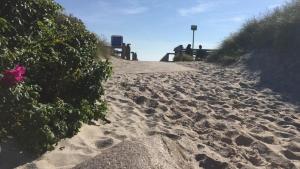 Naturlandskabet i nærheden af feriehuset