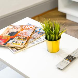 een tafel met tijdschriften en een potplant erop bij Cozy Apartment - Wolverhampton City Centre - Netflix 12AC in Wolverhampton +13 foto's