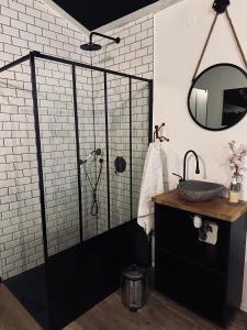 un bagno con doccia e lavandino di Apt 35 m2 Baignoire Balnéo terrasse privée a Amfreville-la-Mi-Voie