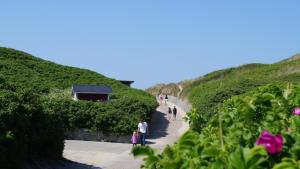 Naturlandskabet i nærheden af feriehuset + 7 billeder