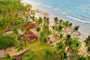 an aerial view of a beach with palm trees at Playa Encantada Beach Resort in El Nido
