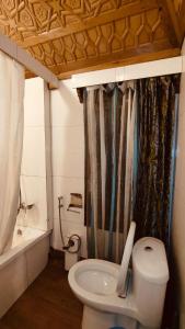 a bathroom with a toilet and a sink and a tub at Heritage Houseboat - Almost Heaven in Srinagar