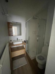 een badkamer met een toilet, een wastafel en een douche bij Le Jardin de Phanie, le calme de la campagne en ville in Metz