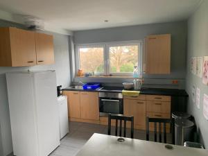 a kitchen with wooden cabinets and a white refrigerator at GMA Apartment T4 in Kappel-Grafenhausen +19 photos