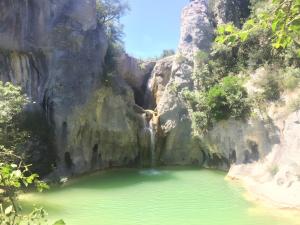 Naturlandskabet i nærheden af lejligheden