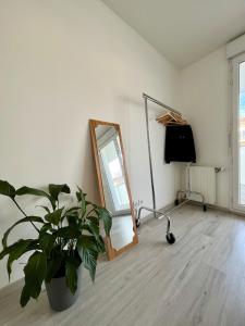 Zimmer mit Topfpflanze und Spiegel in der Unterkunft Le Casual avec parking - 5 pers - Proche Gare Vénissieux - à 15 min de Lyon in Vénissieux