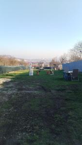 een tuin met een standbeeld in het gras bij ARIANA home in Turda +4 foto's