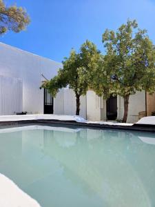 ein Swimmingpool vor einem weißen Gebäude mit Bäumen in der Unterkunft Stay at Richmond in Richmond