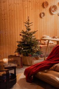 Posezení v ubytování Zen Sasino