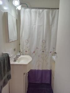 een badkamer met een wastafel en een douchegordijn met bloemen bij Departamento Falucho in Mar del Plata