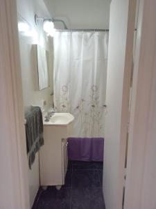 een badkamer met een wastafel en een douchegordijn bij Departamento Falucho in Mar del Plata