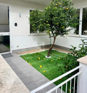 Zahrada ubytování Duci Mondello Guesthouse