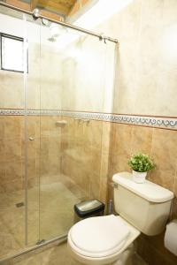 a bathroom with a toilet and a shower at Villa El Colibri in El Peñol +71 photos