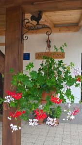 un groupe de plantes en pot et un panneau de chat sur un bâtiment dans l'établissement Apartman Thea Gomirje, à Gomirje