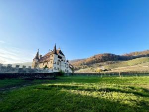 un château dans un champ avec un champ vert dans l'établissement Terrasse des vignes, à Cressier